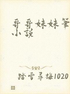 哥哥妹妹笔趣阁小说封面