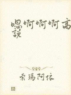 嗯啊啊啊高h小说