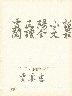 贾正阳小说免费阅读全文最新章节封面