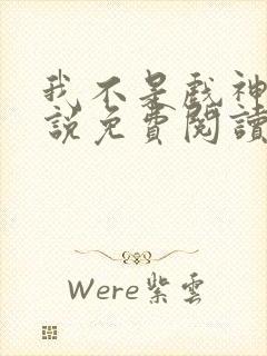 我不是戏神的小说免费阅读