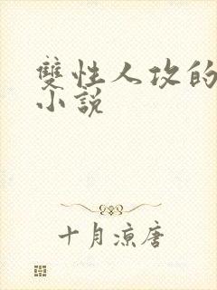 双性人攻的高h小说