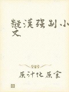 糙汉强制小说h文