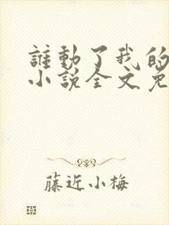 谁动了我的老婆小说全文免费阅读一