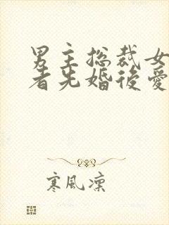 男主总裁女主记者先婚后爱