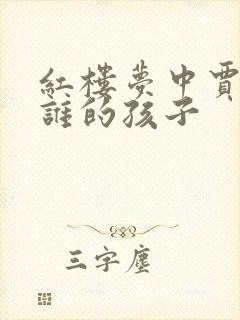 红楼梦中贾兰是谁的孩子