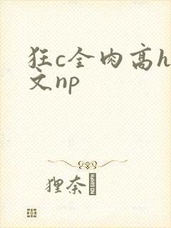 狂c全肉高h辣文np封面