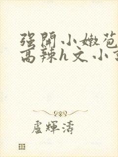 强开小嫩苞h文高辣h文小说封面