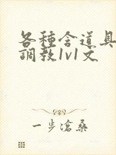 各种含道具高h调教1v1文