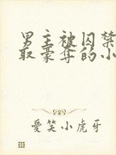 男主被囚禁被强取豪夺的小说