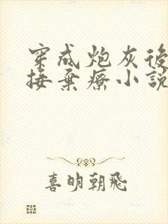 穿成炮灰后我直接弃疗小说是啥封面