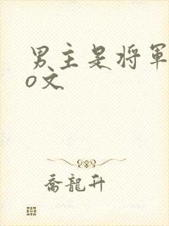 男主是将军的po文