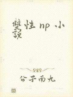 双性 np 小说
