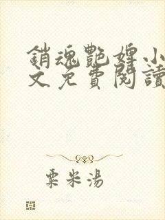 销魂艳婢小说全文免费阅读