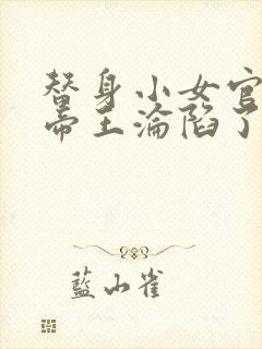 替身小女官腹黑帝王沦陷了小说