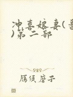 冲喜娘妻(番外)第二部