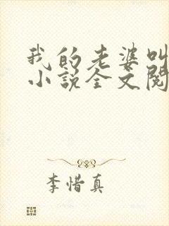 我的老婆叫武艳小说全文阅读