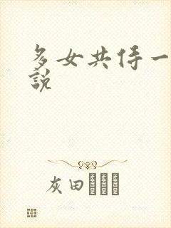 多女共侍一夫小说