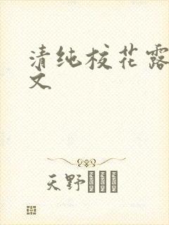 清纯校花露出h文