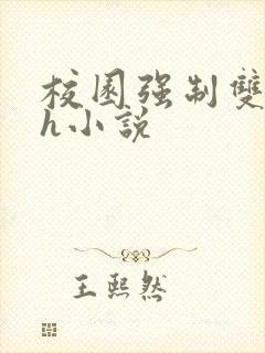 校园强制双性高h小说封面