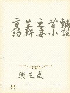 重生之首辅大人的新妻小说