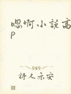 嗯啊小说高hnp