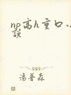 np高h重口小说