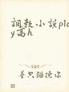 调教小说play高h