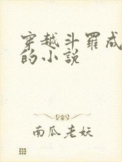 穿越斗罗成魂兽的小说