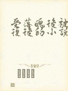 受落魄后被攻报复后的小说