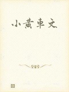 小黄车文