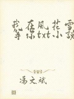 我在风花雪月里等你txt小说封面