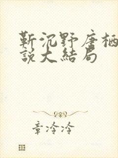 靳沉野唐栖雾小说大结局