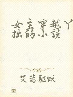 女主穿越丫鬟藏拙的小说封面