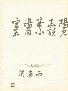 官场萧正阳李冰主角小说免费阅读封面