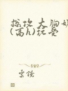 总攻 大胸奶汁(高h)玩受