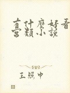 有什么好看的后宫类小说