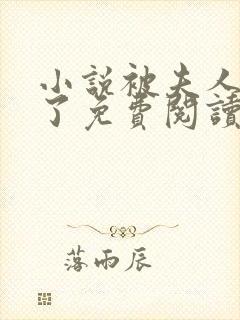 小说被夫人骗心了免费阅读