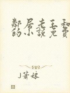 邻居老王和盈盈的小说免费阅读