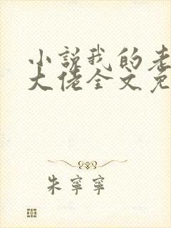 小说我的老公是大佬全文免费阅读