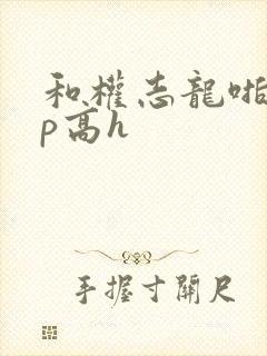 和权志龙啪啪np高h