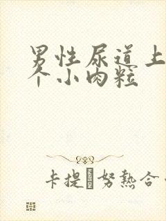 男性尿道上长了个小肉粒封面