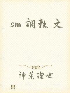 sm 调教 文