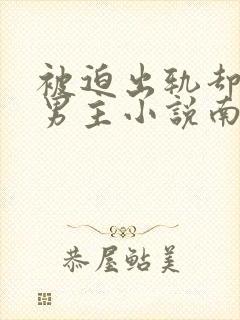 被迫出轨却上瘾男主小说南舒