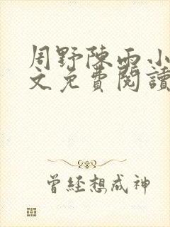 周野陈雨小说全文免费阅读