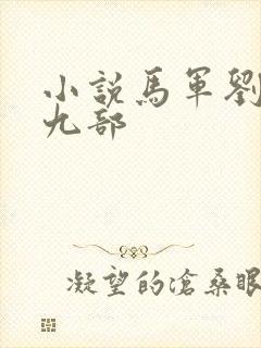 小说马军刘艳第九部