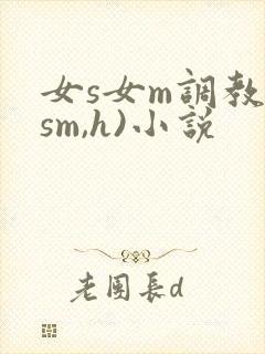 女s女m调教(sm,h)小说