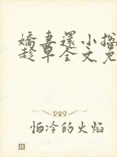 娇妻还小总裁要趁早全文免费阅读封面