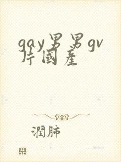 gay男男gv片国产封面