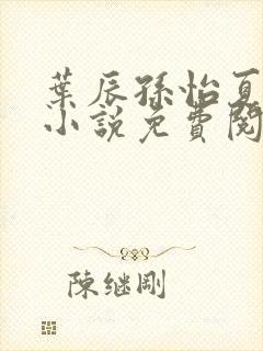 叶辰孙怡夏若雪小说免费阅读