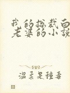 我的总裁白富美老婆的小说免费阅读封面